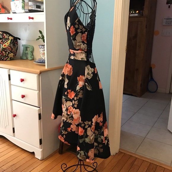 Semi Formal HiLo Dress - Picture 4 of 13